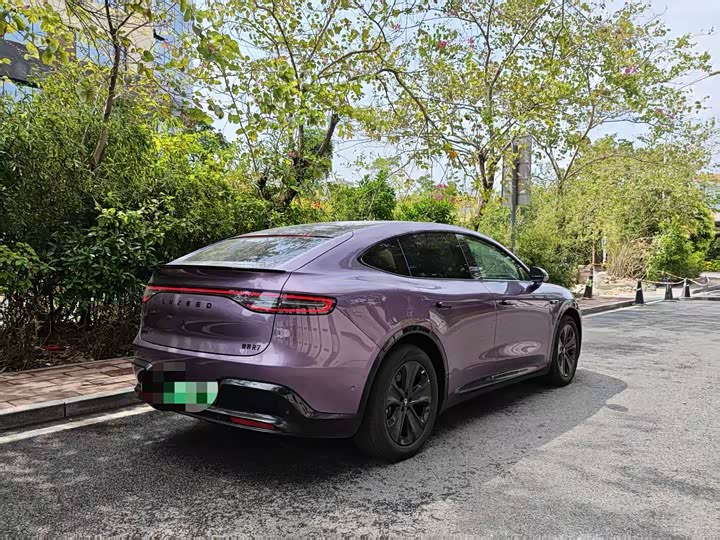 Фото 4 - Luxeed R7