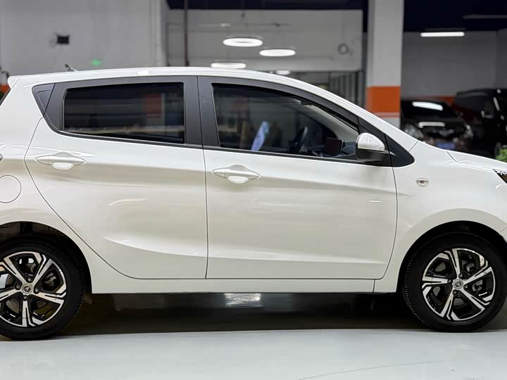 Фото 4 - Changan BenBen E-Star