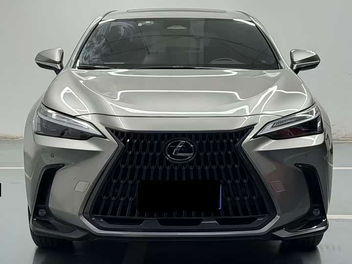 Фото 2 - Lexus NX