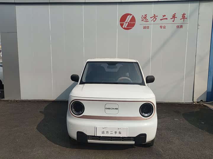 Фото 2 - Geely Galaxy Panda Mini