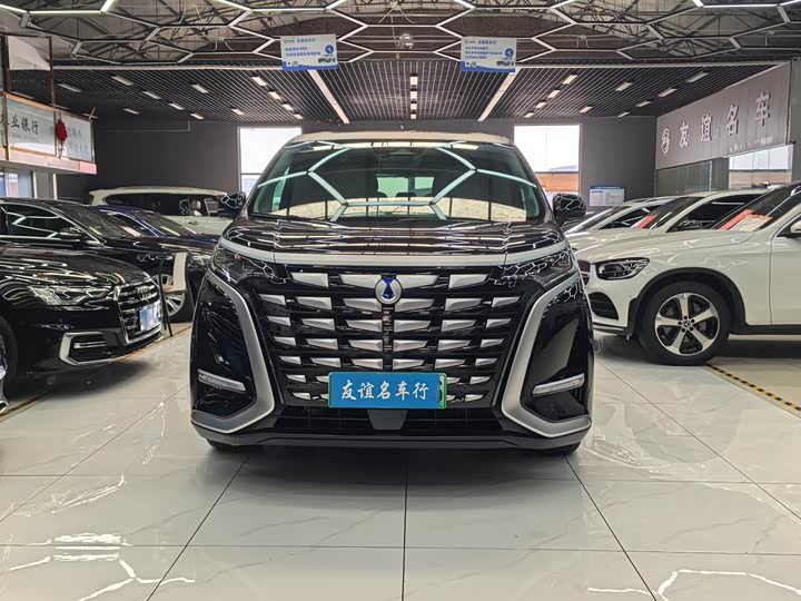 Фото 1 - Denza D9