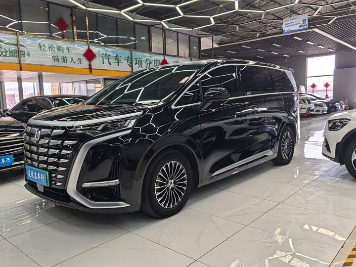 Фото 2 - Denza D9