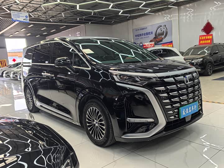 Фото 3 - Denza D9