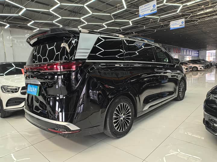 Фото 4 - Denza D9