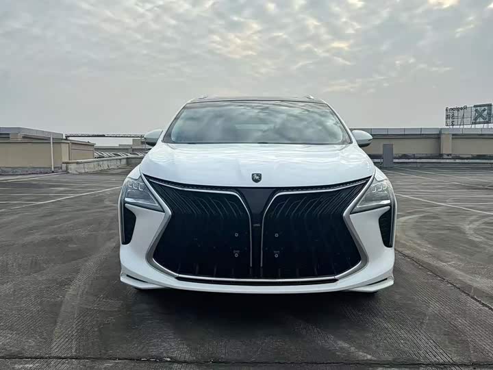 Фото 2 - Dongfeng Forthing Yacht