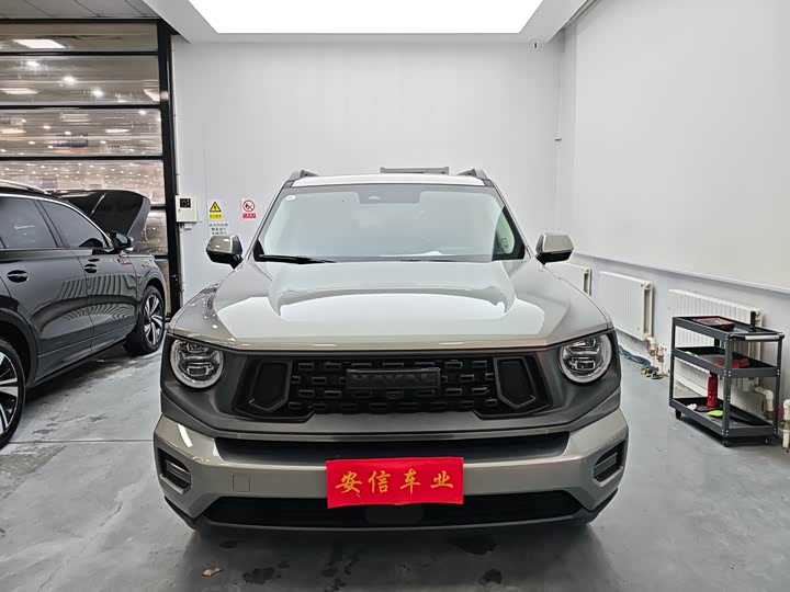 Фото 2 - Haval H-Dog