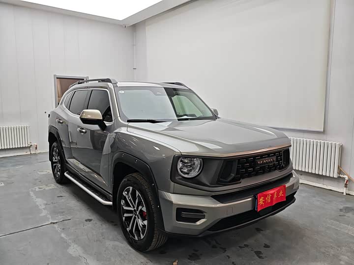 Фото 3 - Haval H-Dog