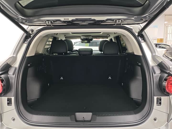 Фото 6 - Haval H-Dog