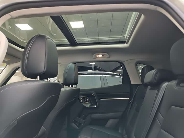 Фото 9 - Haval H-Dog