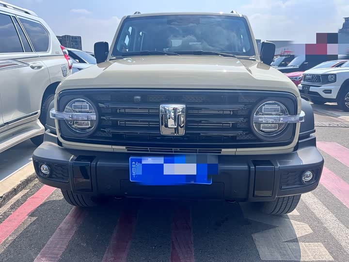 Фото 2 - Tank 300