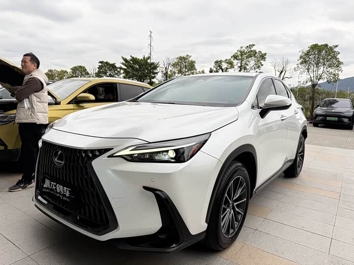 Фото 1 - Lexus NX