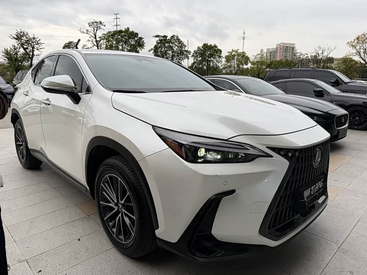 Фото 3 - Lexus NX