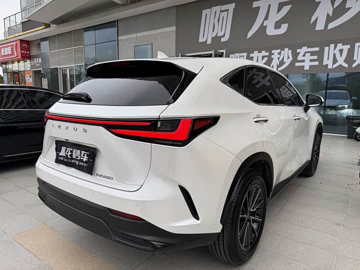 Фото 5 - Lexus NX