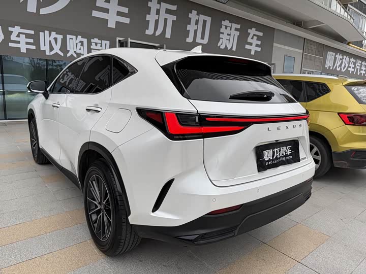 Фото 6 - Lexus NX