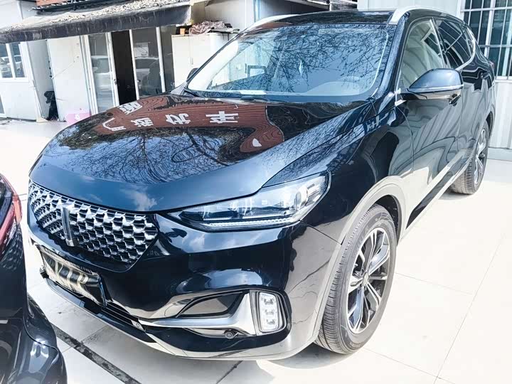 Фото 1 - Wey VV6