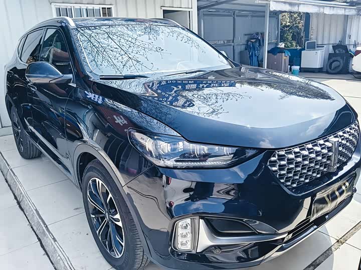 Фото 3 - Wey VV6