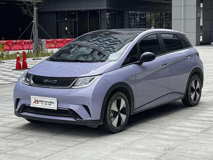 Фото 1 - BYD Dolphin