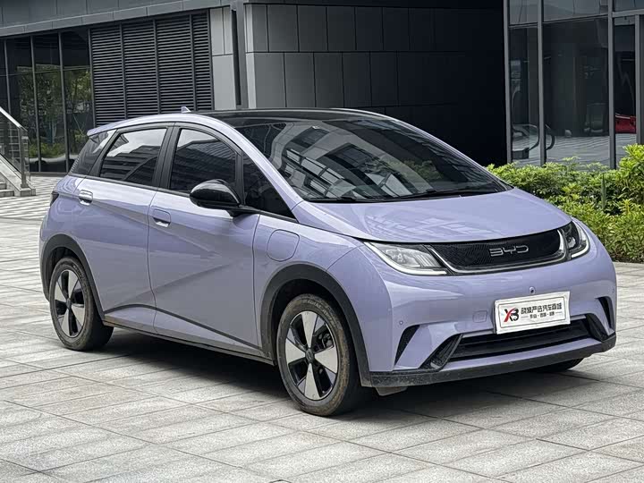 Фото 2 - BYD Dolphin