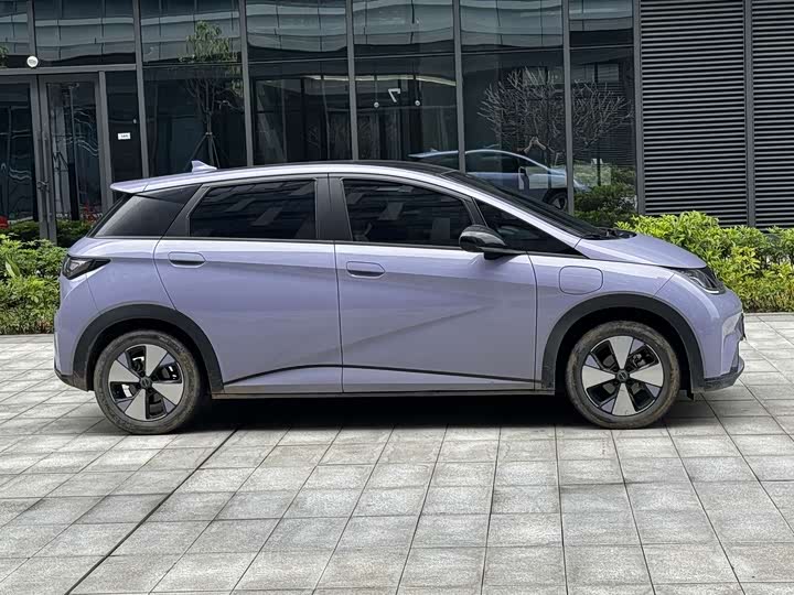 Фото 4 - BYD Dolphin