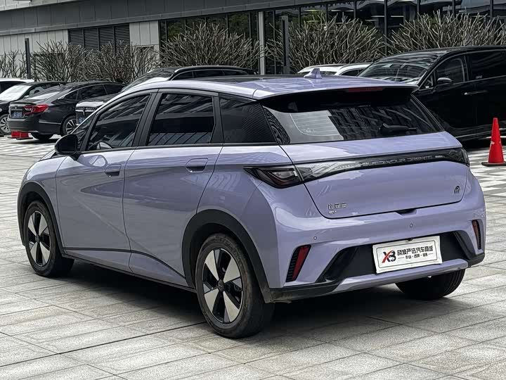 Фото 5 - BYD Dolphin