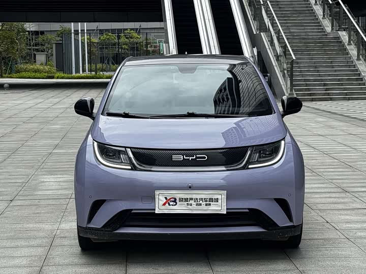 Фото 6 - BYD Dolphin