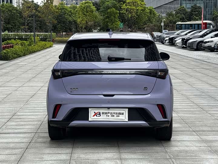 Фото 7 - BYD Dolphin