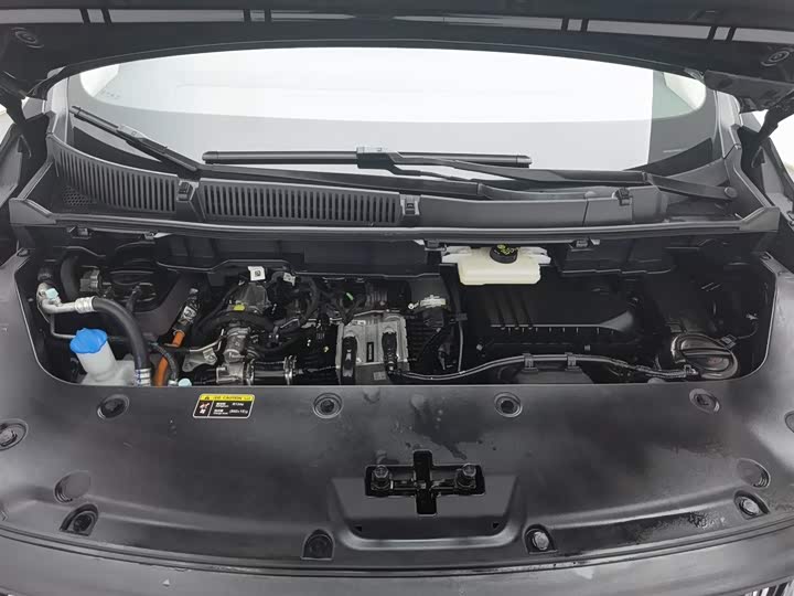 Photo 6 - Hongqi HQ9 Hybrid