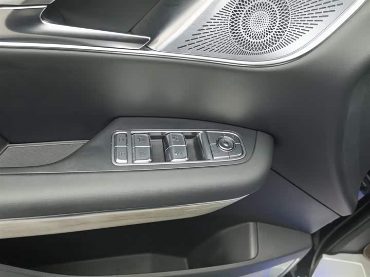 Photo 9 - Hongqi HQ9 Hybrid