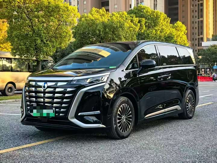 Фото 1 - Denza D9