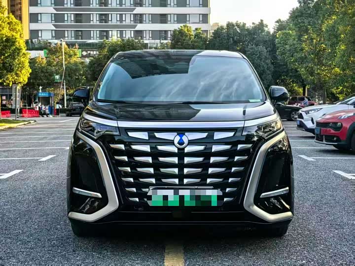 Фото 2 - Denza D9