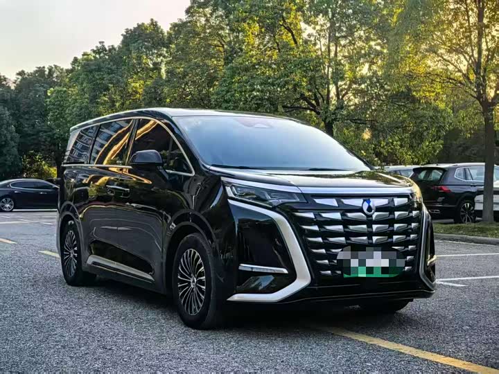 Фото 3 - Denza D9