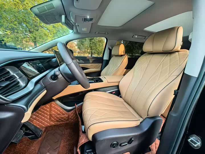 Фото 4 - Denza D9