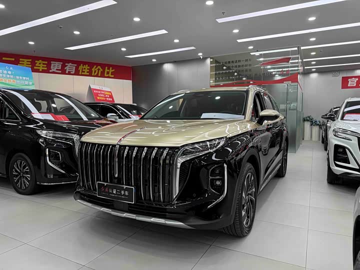 Фото 1 - Hongqi HS7 Hybrid
