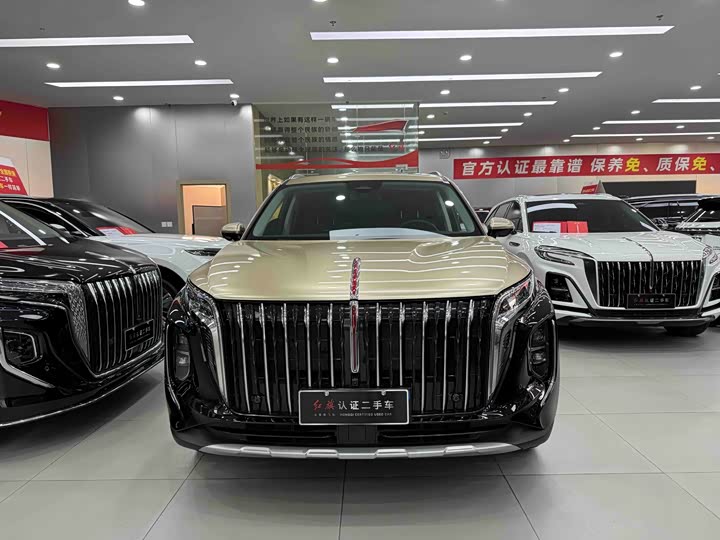 Фото 2 - Hongqi HS7 Hybrid