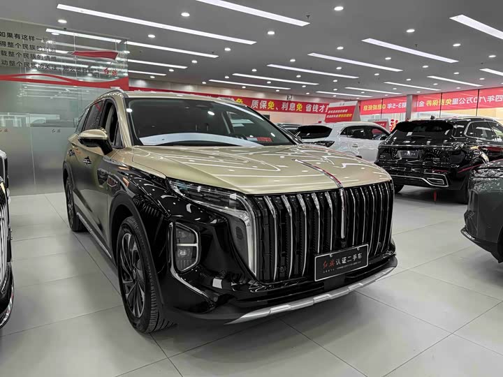 Фото 3 - Hongqi HS7 Hybrid