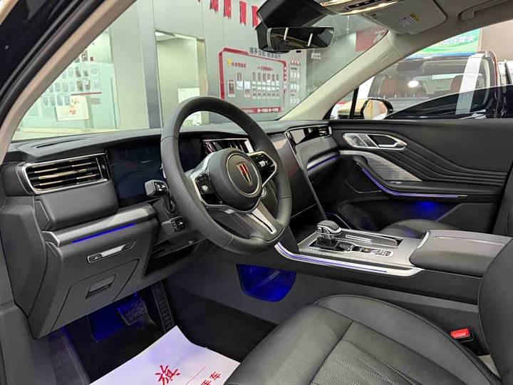 Фото 4 - Hongqi HS7 Hybrid