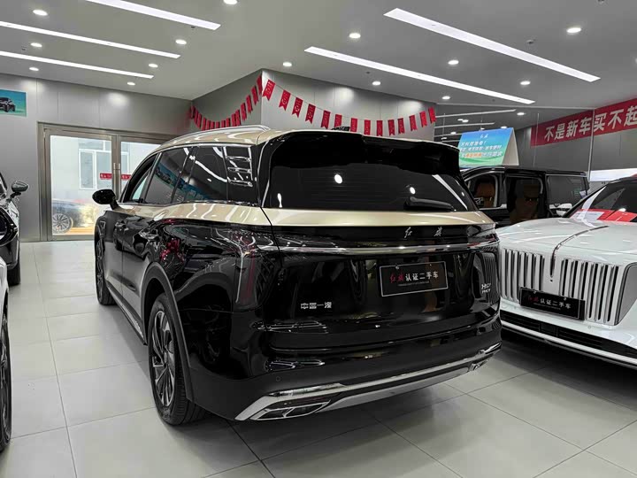 Фото 9 - Hongqi HS7 Hybrid