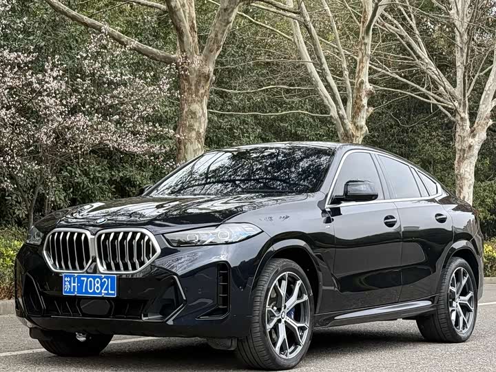 Фото 1 - BMW X6
