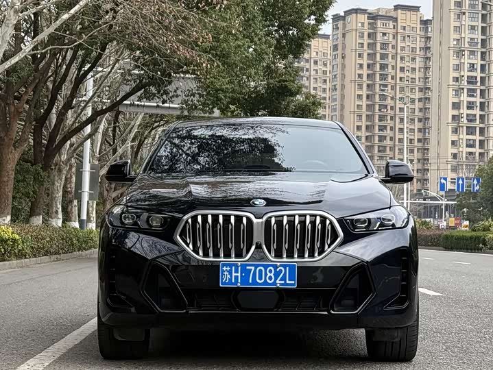Фото 2 - BMW X6