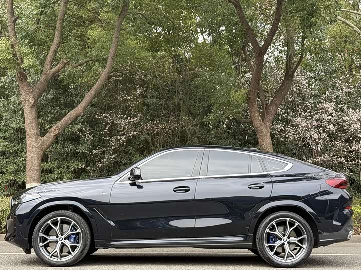 Фото 3 - BMW X6