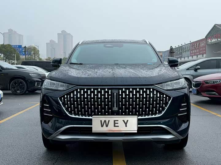 Фото 2 - Wey Mocca Hybrid