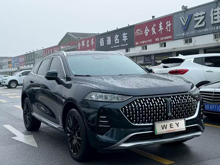 Фото 3 - Wey Mocca Hybrid