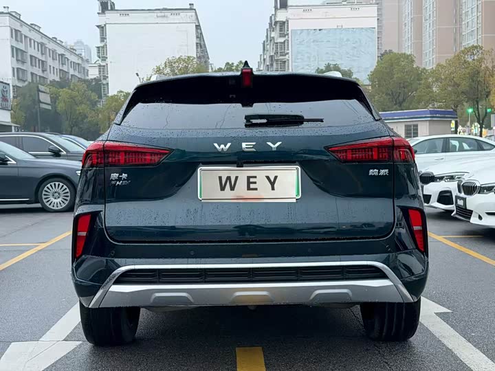 Фото 4 - Wey Mocca Hybrid