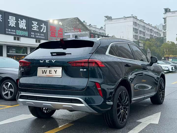 Фото 5 - Wey Mocca Hybrid