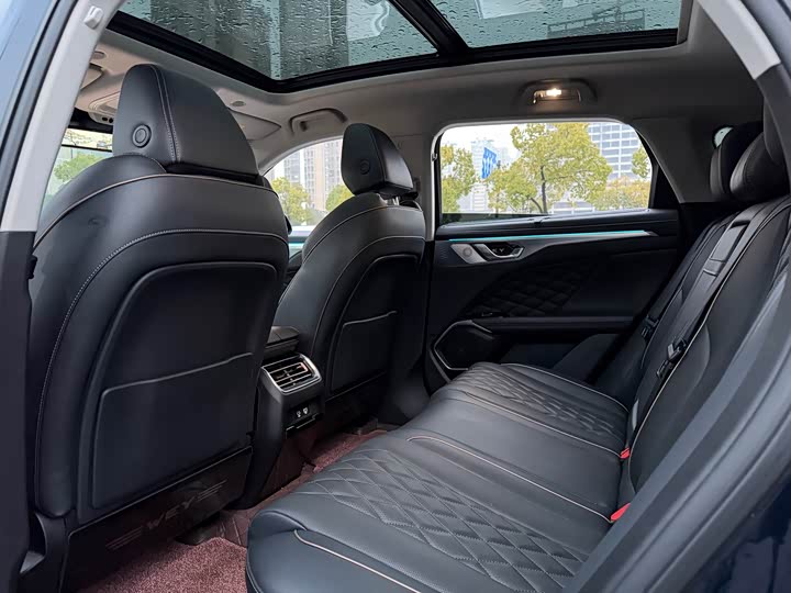 Фото 8 - Wey Mocca Hybrid