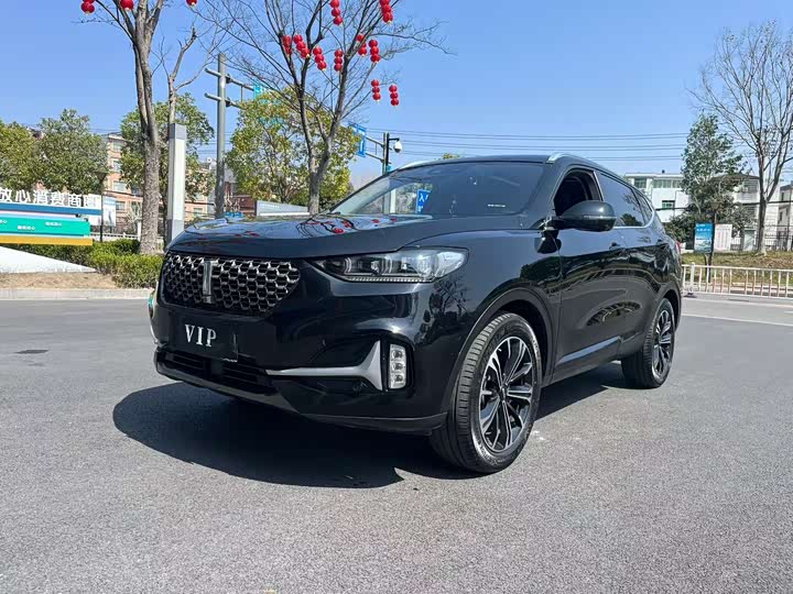 Фото 1 - Wey VV6