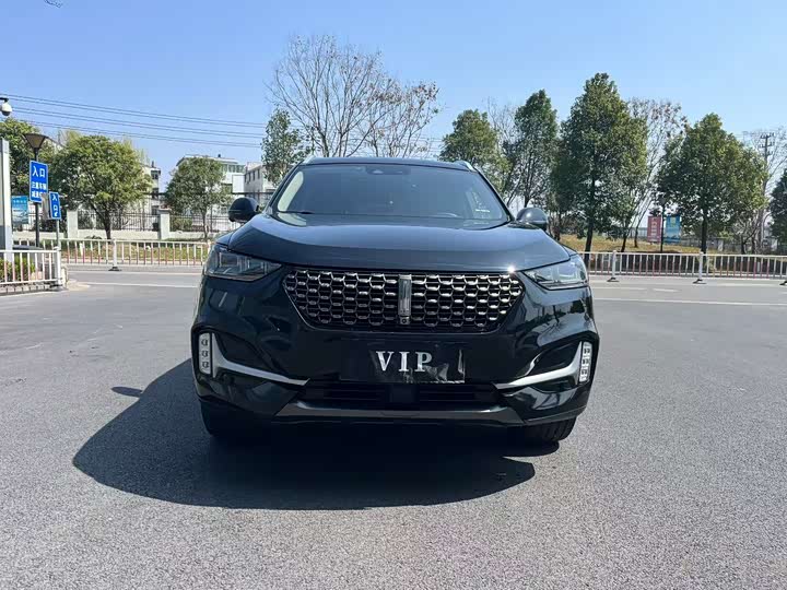 Фото 2 - Wey VV6