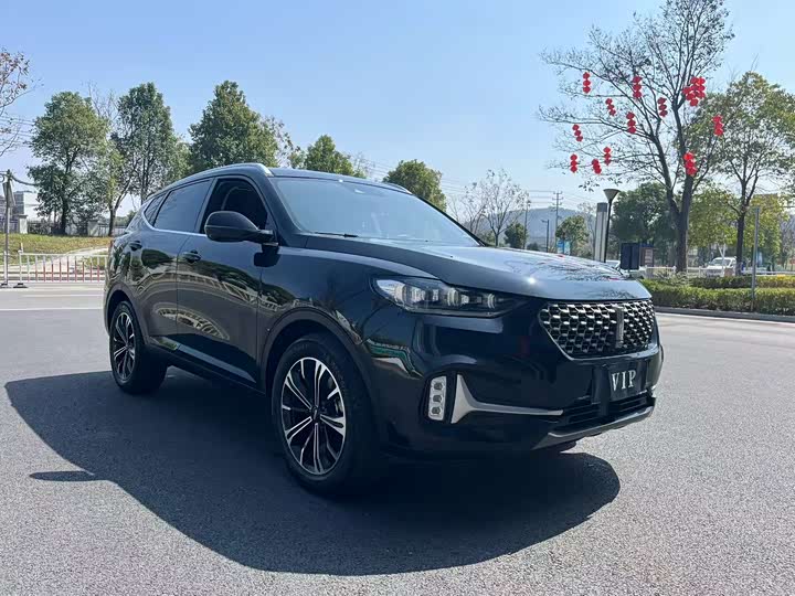 Фото 3 - Wey VV6