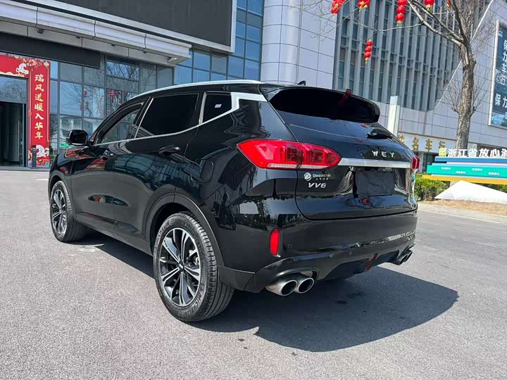 Фото 7 - Wey VV6