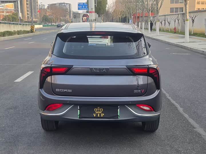 Фото 8 - Hozon V